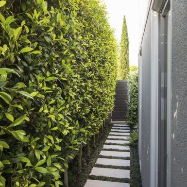 Narrow Pathway Landscaping, Entry Pathway, Indoor Outdoor Flow, Inner Garden, Pathway Landscaping, Brick Garden, Formal Garden, Garden Maintenance, Swimming Pool Spa