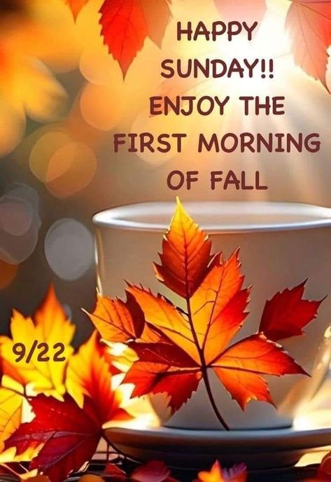 1st Day Of Fall, Sunday Pictures, Sunday Photos, Lovely Sunday, Good Morning Happy Sunday, Blessed Sunday, Time Pictures, Tumblr Image, Good Morning Picture