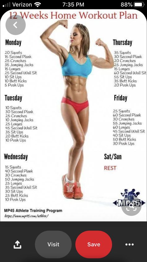 3 Day Workout Routine, 12 Week Workout Plan, 12 Week Workout, Home Workout Plan, Exercise Video, Weekly Workout Plans, Weight Training Workouts, Cardio Training, At Home Workout Plan