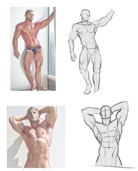 Human Muscle Reference, Biceps Art Reference, Body Builder Anatomy, Strong Male Body Reference Drawing, Armpit Muscle Reference, Muscle Arms Reference, Flexing Biceps Reference, Holding Cylinder Reference, Male Muscular Body Drawing