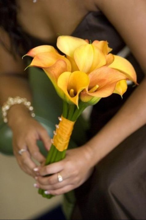 I still love the color of my bridesmaid's bouquet...yellow-orange calla lilies :) Calla Lily Bridal Bouquet, Calla Lily Bouquet Wedding, Calla Lily Bridal, Modern Bouquet, Mini Calla Lilies, Calla Lily Wedding, Orange Bouquets, Calla Lily Bouquet, Bridal Bouquet Fall