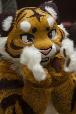 Feline Costume, Tiger Fursuit, Toony Fursuit, Kawaii Tiger, Fur Suit, Tiger Costume, Fursuit Head, Animal Costumes, Cutie Pie