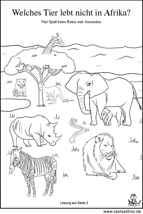 Tierrätsel - Welches Tiere lebt nicht in Afrika? Nature School, Animal Coloring, Christmas Cocktails Recipes, Jungle Theme, Woodland Party, Montessori Activities, Animal Coloring Pages, Types Of Food, More Fun