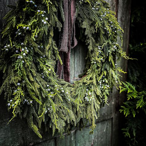 Happy Fall Ya’ll! I know I know this is a Christmas wreath but believe it or not the Norfolk pine is so popular, it’s sold out almost everywhere 😬 Luckily I stocked up early and have some of these beauties left in my shop! The picture listed is 26inch from tip to tip and is full(and I mean full) or soft touch Norfolk and gorgeous high quality juniper berries that you cannot get at your local craft store.. I have 3 sizes and they are going quick Link to my shop is located in my bio 🤗 Ge... Juniper Wreath, Victorian Christmas Wreath, Norfolk Pine Christmas Tree, Natural Christmas Wreaths, Norfolk Pine, Winter Holiday Decorations, Pine Wreath, Christmas Door Wreaths, Berry Wreath