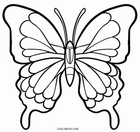 Coloring Pages of Butterflies Printable Butterfly Coloring Pages, Wings Folded, Butterfly Step By Step, Butterfly Coloring Pages, Printable Butterfly, Butterfly Art Drawing, Butterfly Coloring, Paper Mosaic, Butterfly Stencil