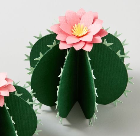 Taco Party Centerpiece Ideas, Cactus Classroom Bulletin Board, Cactus Party Centerpieces, Paper Cactus Diy, Cactus Paper Craft, Cowboy Party Decorations, Diy Cactus, Paper Cactus, Cactus Craft