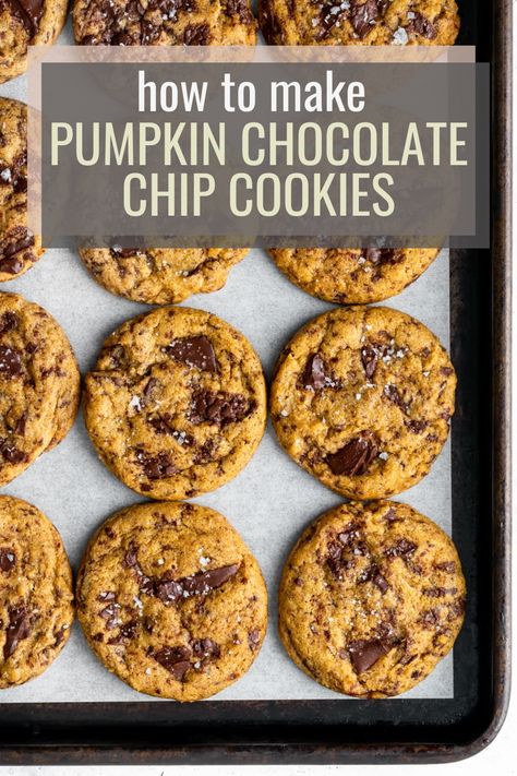 An overhead shot of chewy pumpkin chocolate chip cookies on a parchment lined baking sheet with the words "how to make pumpkin chocolate chip cookies" in the foreground Chewy Pumpkin Oatmeal Chocolate Chip Cookies, Pumpkin Walnut Chocolate Chip Cookies, Choc Chip Pumpkin Cookies, Dark Chocolate Pumpkin Cookies, Ginger Pumpkin Cookies, Pumpkin Chocolate Chunk Cookies, Pumpkin Brown Butter Cookies, Pumpkins Chocolate Chip Cookies, Pumpkin Dark Chocolate Chip Cookies