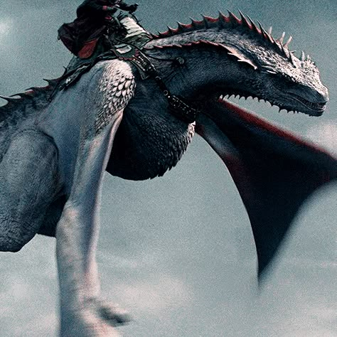 Targaryen Dragons, Lucerys Velaryon, Hotd Dragons, Dragon House, Dragon Game Of Thrones, Got Dragons, Game Of Thrones Dragons, Targaryen Aesthetic, Gra O Tron