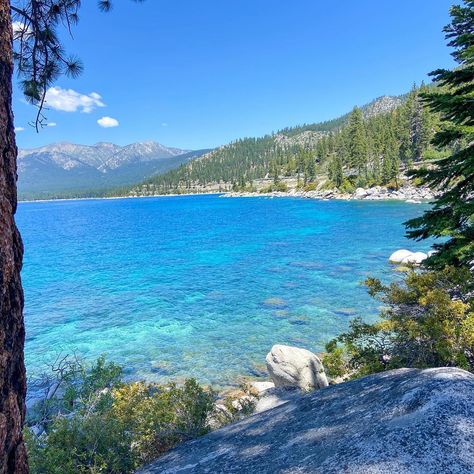 I can’t let Earth Day go by without sharing some of my favorite pictures of our beautiful Earth. 🌏 📍Shark Fin Rock, Folsom Lupine Super Bloom, Lake Tahoe, Alaska. #earthday #earthday2024 #grateful #blessed #northerncalifornia #laketahoe #alaska #travel #blogaboutitall Super Bloom, Shark Fin, Alaska Travel, Lake Tahoe, Northern California, Earth Day, Alaska, My Favorite, I Can