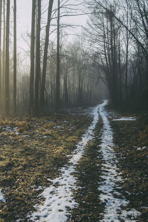 forest road + melting snow #nature #photography White Forest, Camping Photography, Belle Nature, Forest Path, Forest Road, Dirt Road, Dark Forest, Camping Hacks, In The Woods