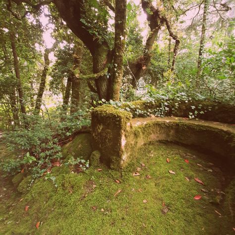 Living In The Forest Aesthetic, Goblin Market Aesthetic, Cottagecore Plants Aesthetic, Creepy Cottagecore, Green Cottagecore Aesthetic, Goblin Core Astetic, Dark Fairycore Aesthetic, Overgrown Forest Aesthetic, Weird Core Forest