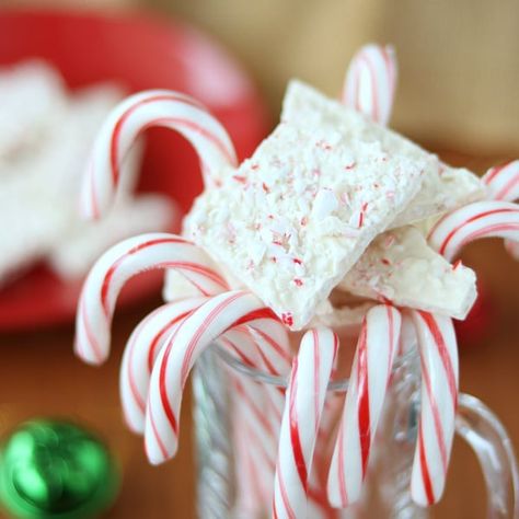 Easy Peppermint Bark Easy Peppermint Bark, Bark Recipes Easy, White Chocolate Peppermint Bark, Peppermint Bark Recipes, Chocolate Peppermint Bark, Easy Holiday Treats, Baking Soda Water, Xmas Treats, Peppermint Candy Cane