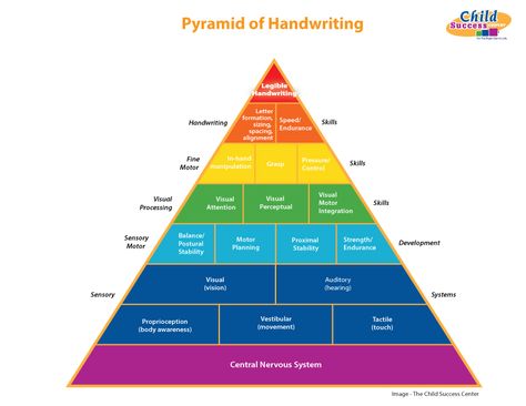 Learning Pyramid, Sensory System, Psychology Notes, Letter Formation, Fine Motor, Motor Skills, Handwriting, Phonics, Psychology