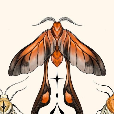 𝐋𝐢𝐯 𝐂𝐚𝐫𝐨 on Instagram: "Moth Girl Era ❖ Available Flash ❖ Long-tailed burnet, footman moth , Pachydota Nervosa, Automeris Frankae. DM or email to book 💌 BOOKS OPEN for last few in January and February @kayagardentattoo 
.
.
.
#mothtattoo #mothtattoos #mothtattoodesign #mothtattooflash #colourtattoo #colourtattooing #colourtattooartist #colourtattoodesign #colourtattoos #sydneytattoo #sydneytattooartist #sydneytattooist #sydneytattooshop #ladytattooers #ladytattooartist #ladytattooist #ladytattoos #femaletattooartist #femaletattooist #femaletattooer #innerwestsydney #innerwest #naturetattoo #naturetattoos #bugtattoo #bugtattoos" Long Tailed Burnet Moth, Moth Girl, Moth Tattoo Design, Bug Tattoo, Books Open, Moth Tattoo, Female Tattoo Artists, Nature Tattoos, Long Tail