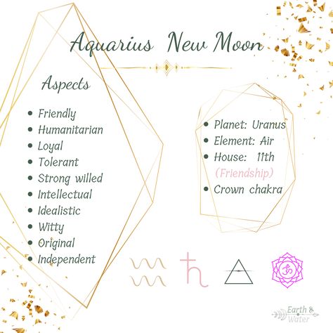 They're perfectionists, always look for a way to better themselves and their lives. They come off as odd and eccentric because they don't see the world like most people do. The Aquarius new moon is here to help you be your best self. Aquarius Keywords: Friendly Humanitarian Loyal Tolerant Strong willed Intellectual Idealistic Witty Original Independent Planet: Uranus & Saturn Element: Air House: 11th (Friendship) Aquarius Energy, Moon Information, Thrill Seeking, The Aquarius, Energy Yoga, Everything Is Connected, Fire Signs, Energy Work, Root Chakra