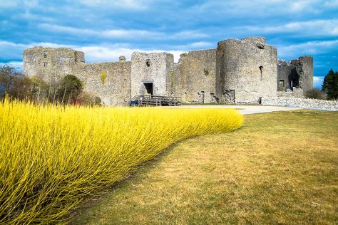 Why You Should Head for Roscommon Castle Roscommon Ireland, Free Climb, British Castles, Places Worth Visiting, Travel Ireland, Castles In Ireland, Famous Castles, Ireland Vacation, Castle Ruins