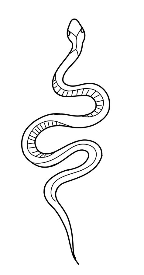 Snake Tattoos Easy, Snake Border Design, Realistic Snake Sketch, Outline Snake Tattoo, Snake Flash Tattoo, Line Art Snake, Snake Line Art, Serpent Drawing, Sketch Snake