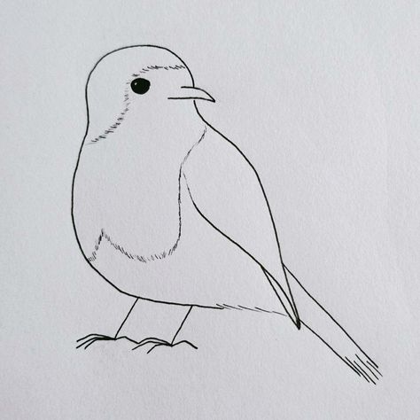 Robin Red Breast #robin #robinredbreast #bird #art #lineart #minimalist #linework #tattooidea #simple #line #blackandwhite #blackline Robin Drawing Simple, Robin Sketch, Robin Red Breast, Art Lineart, Robin Redbreast, Owl Illustration, Textile Art Embroidery, Logo Idea, Red Robin