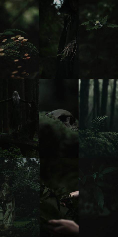 Dark Naturalism, Dark Forest Aesthetic, Fairy Wallpaper, Dark Green Aesthetic, Slytherin Aesthetic, Beltane, Fantasy Aesthetic, Aesthetic Pastel Wallpaper, Pretty Wallpapers Backgrounds