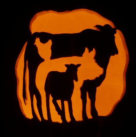 2019 Carved foam pumpkin-for scary farm-themed Halloween Party Pumpkin Carving Farm Theme, Farm Themed Pumpkin Carving, Farm Animal Pumpkin Carving, Farm Pumpkin Carving Ideas, Pumpkin Carving Ideas Country, Pumpkin Carving Cow, Western Pumpkin Carving Ideas, Cow Pumpkin Carving, Animal Pumpkin Carving