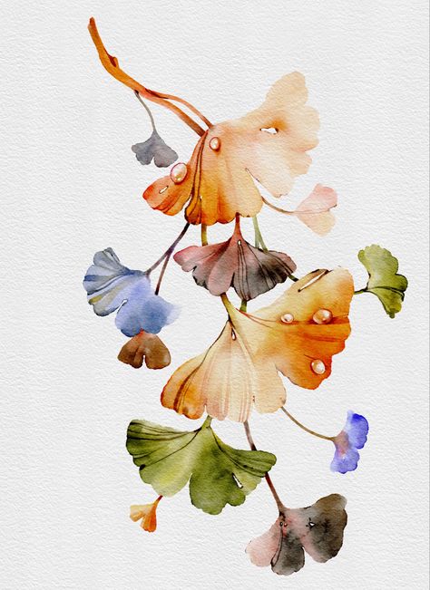 Ginkgo digital watercolor by PicByKate #watercolor #digitalart #digitalwatercolor #watercolorarts #watercolorpainting #watercolorflorals #procreate #procreateillustration Botanical Flowers Print, Traditional Media, Botanical Flower Art, Folk Art Flowers, Delicate Feminine, Flower Motifs, Galaxy Painting, Flower Art Images, The Creative Process