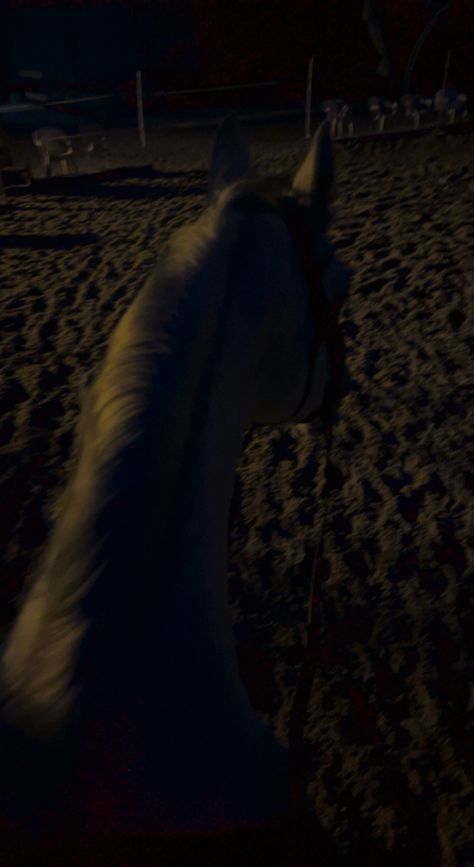 Horse Riding Pov, Night Horse Riding, Country Snaps, Night Horse, Pictures With Horses, Fake Life, Horse Riding Tips, Camera Art, Art Painting Tools