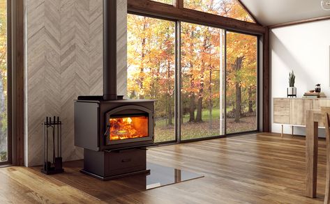 Wood Stove Hearth, Wood Stove Wall, Pellet Stoves, Stoves For Sale, Wood Pellet Stoves, Wood Heater, Ecological Footprint, Pellet Stove, Iron Door