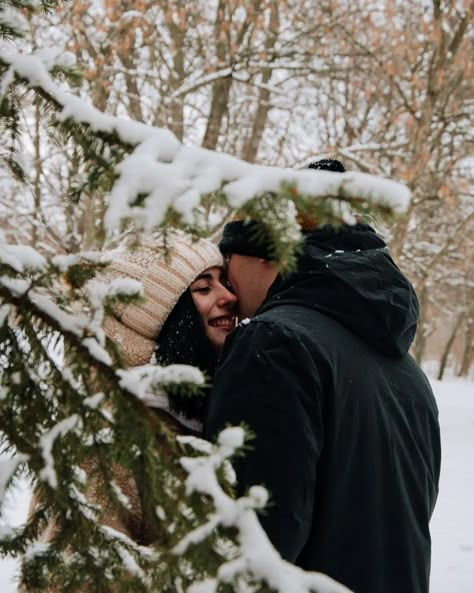 Lovelight Farms, Holiday Romance Books, Farm Books, Couples Book, Cottage Aesthetic, Snow Photography, Winter Cottage, Holiday Romance, Christmas Tree Farm