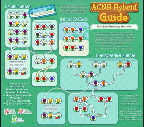 Animal Crossing Guide, Qr Codes Animal Crossing, Flower Guide, New Animal Crossing, Animal Crossing Game, Island Design, Animal Crossing Qr, Orange Roses, Blue Roses