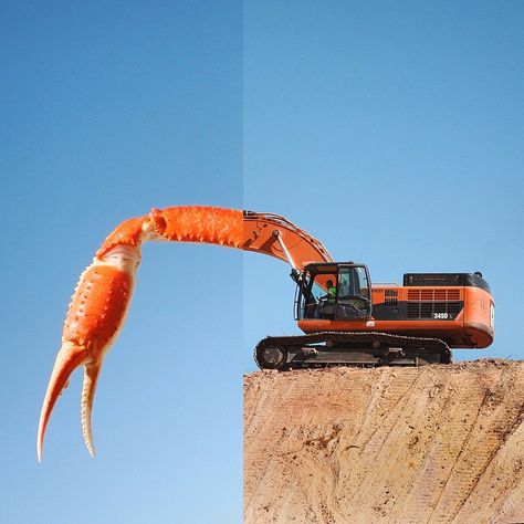 These surreal photos are not Photoshop inventions. Art Director Stephen McMennamy looks for simple backgrounds, takes two photographs, and then carefully arranges them together. The early #combophoto project shots were taken with an iPhone, but McMennamy recently bought a new camera to improve the quality, and occasionally uses a drone. Object Drawing, Colossal Art, Montage Photo, Weird World, Surreal Art, Funny Photos, Creative Photography, Art Direction, Collage Art