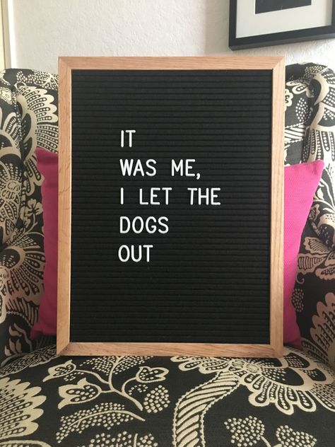 Letterboard Sayings Funny, Dog Letterboard Quotes, Cubical Decoration, Light Box Quotes Funny, Letterboard Sayings, Light Box Quotes, Letterboard Signs, Board Sayings, Message Board Quotes