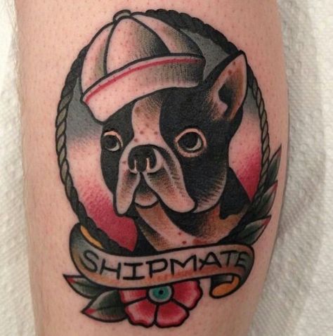 Shipmate boxer American Traditional Boston Terrier Tattoo, Boston Terrier Traditional Tattoo, Traditional Tattoo Frame, Dog Traditional Tattoo, American Traditional Dog Tattoo, Bully Tattoo, Paul Dobleman, Traditional Tattoo Arm, Boston Terrier Tattoo