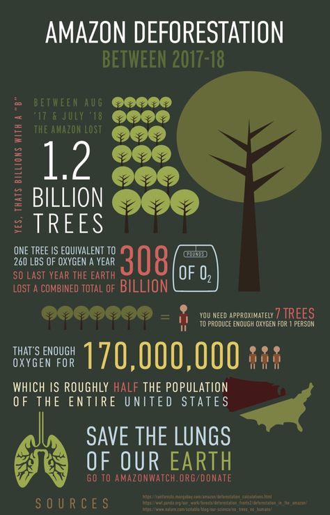 This is an infographic depicting information about the Amazon Rainforest Deforestation Poster, Rainforest Deforestation, Amazon Deforestation, Science Anchor Charts, Amazon Forest, Save Our Earth, The Amazon Rainforest, Infographic Poster, Our Earth