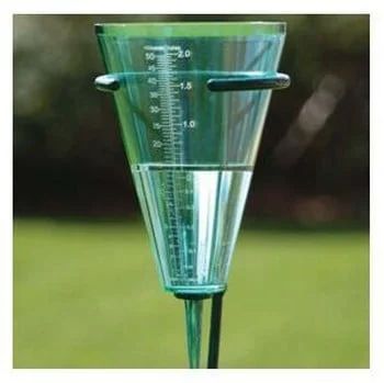 rain gauge - Google Search Rain Gauge, Champagne Flute