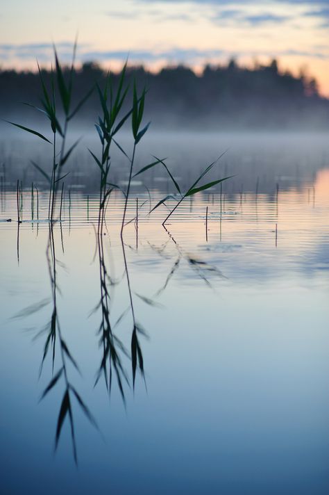 Alam Yang Indah, Helsinki, Nature Beauty, Beautiful World, Beautiful Landscapes, Wonders Of The World, Mother Nature, Beautiful Photo, Finland