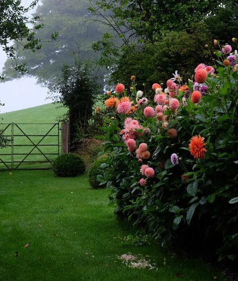 Gardening Wallpaper, Dahlias + An Owl | Content in a Cottage English Country Home, Ben Pentreath, English Garden Design, Country Garden Decor, Glam Pad, Cottage Garden Design, English Cottage Garden, English Country Gardens, Country Landscaping