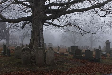 Victorian Cemetery, London Autumn, Dark Landscape, Old Cemeteries, Cemetery Art, Southern Gothic, Gothic Aesthetic, New London, Season Of The Witch