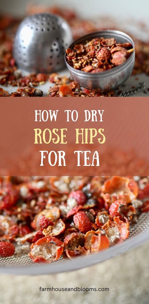 two pictures of dried rose hips for tea Rosehip Recipes, Rosehip Tea, Healthy Tea, Dry Rose, Homemade Tea, Herb Recipes, Rose Hips, Healthy Teas, Dehydrated Food