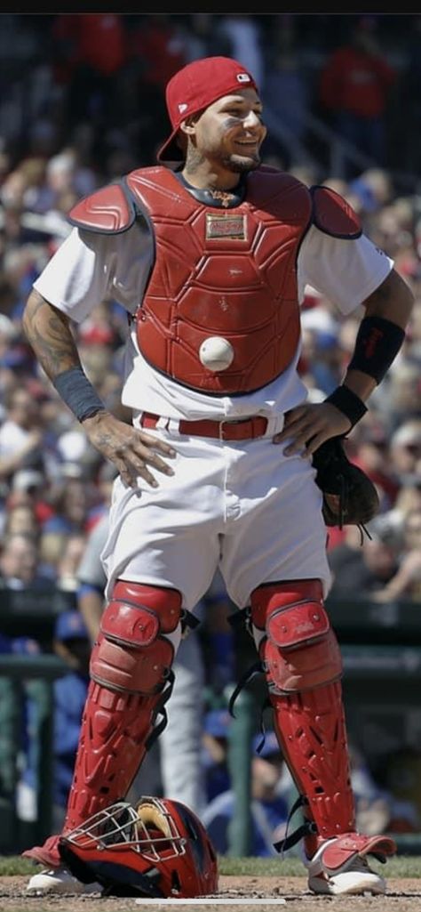 Winter Ball, St Louis Cardinals Baseball, Yadier Molina, Baseball Pictures, Cardinals Baseball, St Louis Cardinals, Baseball Players, Cardinals, Samurai Gear