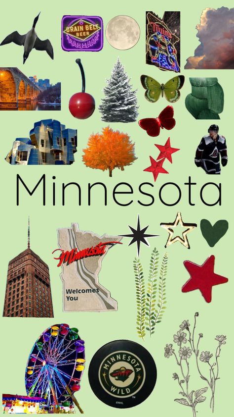 #minnesota Minnesota Christmas, Minnesota Aesthetic, Minnesota Art, Minnesota Life, Minnesota Nice, Grad Ideas, Mexican Fashion, Preschool Lesson Plans, Minnesota Wild