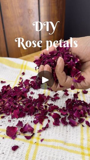 4.7K views · 85 reactions | DIY dried rose petals ..so easy for prepare 😃 
------/----------/----------
#rosepetals #rose #roses #flowers #love #nature #flower #redroses #skincare #beauty #petals #naturephotography #handmade #rosegarden #smallbusiness #flowerstagram #redrose #gardening #decor #trending #homemade #anniversary #rosewater #red #weddingplanner #roseflower #selfcare #eventplanner #rosephotography #instagram | shobha's home | Mariah Carey · All I Want for Christmas Is You Dry Rose Petals Diy, How To Dry Rose Petals Naturally, Dry Rose Petals Crafts, Drying Rose Petals, Rose Petals Craft, Rose Petal Uses, Rose Petals Falling, Rose Petal Candle, Flower Lipstick