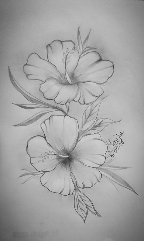 Assalamu Alaikum everyone.. Here I'm new... Hope you like my pencil sketch. It’s my old pencil sketch..plz visit my YouTube channel. Gumamela Drawing, Gumamela Flower Drawing, Gumamela Tattoo, Drawing Easy Pencil, Flower Sketch Pencil, Sketch It, Flower Sketch, Hope You, Sketch Pencil