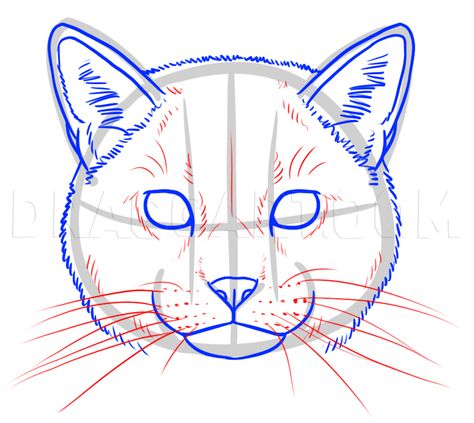 Cat Face Drawing, Draw Cats, Cat Drawing Tutorial, Cats Art Drawing, Cat Sketch, Cats Drawing, Drawing Guide, Pola Sulam, Guided Drawing