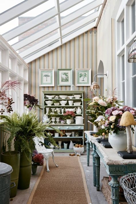 Small Conservatory Interiors, Small Conservatory, Victorian Country House, Conservatory Interior, Conservatory Design, Dome Greenhouse, West Facing Garden, Mid Century Aesthetic, House Garden