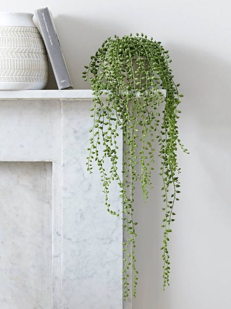 Sideboard Decor, Faux Moss, Botanical Decor, String Of Pearls, Selling Furniture, Artificial Flower Arrangements, Decor Guide, Flowers Plants, Faux Plants