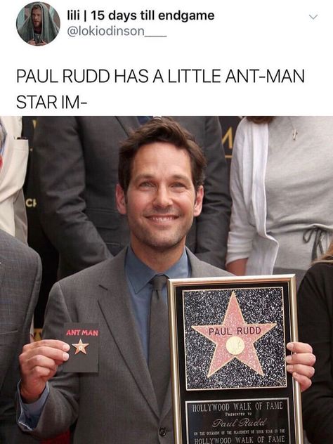 Avengers Humor, Funny Marvel Memes, Univers Dc, Paul Rudd, Marvel Avengers Funny, Dc Memes, Avengers Memes, Marvel Actors, Marvel Jokes