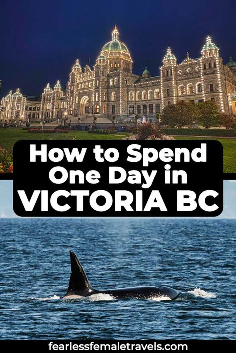 A Local's Guide to the Perfect Victoria BC Day Trip Vancouver Vacation, Vancouver Travel, Victoria Bc Canada, Canada Travel Guide, Victoria Canada, Australia Travel Guide, Travel Canada, Alaskan Cruise, One Day Trip