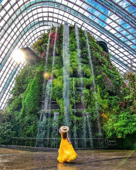 Travel & Lifestyle I Singapore on Instagram: “Discover Singapore 🇸🇬 l Gardens by the Bay⁣ ⁣ At Gardens by the Bay's cloud forest admiring our indoor waterfall with surreal mist and…” Gardens By The Bay Photo Ideas, Ocbc Skyway Singapore, Sentosa Island Singapore Outfit, Marina Bay Sands Singapore Photography, Gardens By The Bay Outfit, Singapore Aesthetic Outfit, Singapore Instagram Photos, Singapore Poses, Singapore Fits