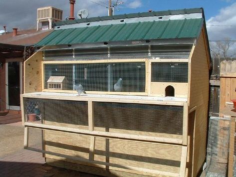 Pigeon Coop, Racing Pigeon Lofts, Pigeon Loft Design, Pigeon Cage, Pigeon House, Loft Designs, Pigeon Pictures, Homing Pigeons, Pigeon Loft