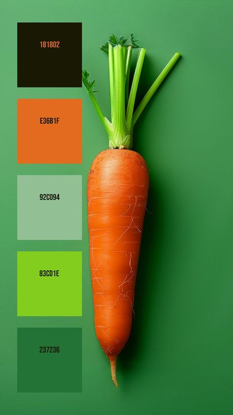 Colors:
181802
E36B1F
92C094
83CD1E
237236 Carrot Colour, Hex Color Palette, Organic Nature, Green Backdrops, Green Colour Palette, Hex Colors, Fresh Green, Green Tops, Vibrant Orange